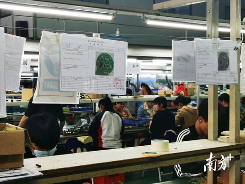 兵支書辦起電子加工廠，百名村民家門口就業(yè)增收