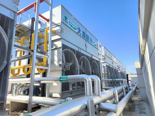 保障超1200萬(wàn)居民至少15天的食品儲(chǔ)備，武漢主城區(qū)最大冷鏈倉(cāng)儲(chǔ)項(xiàng)目竣工